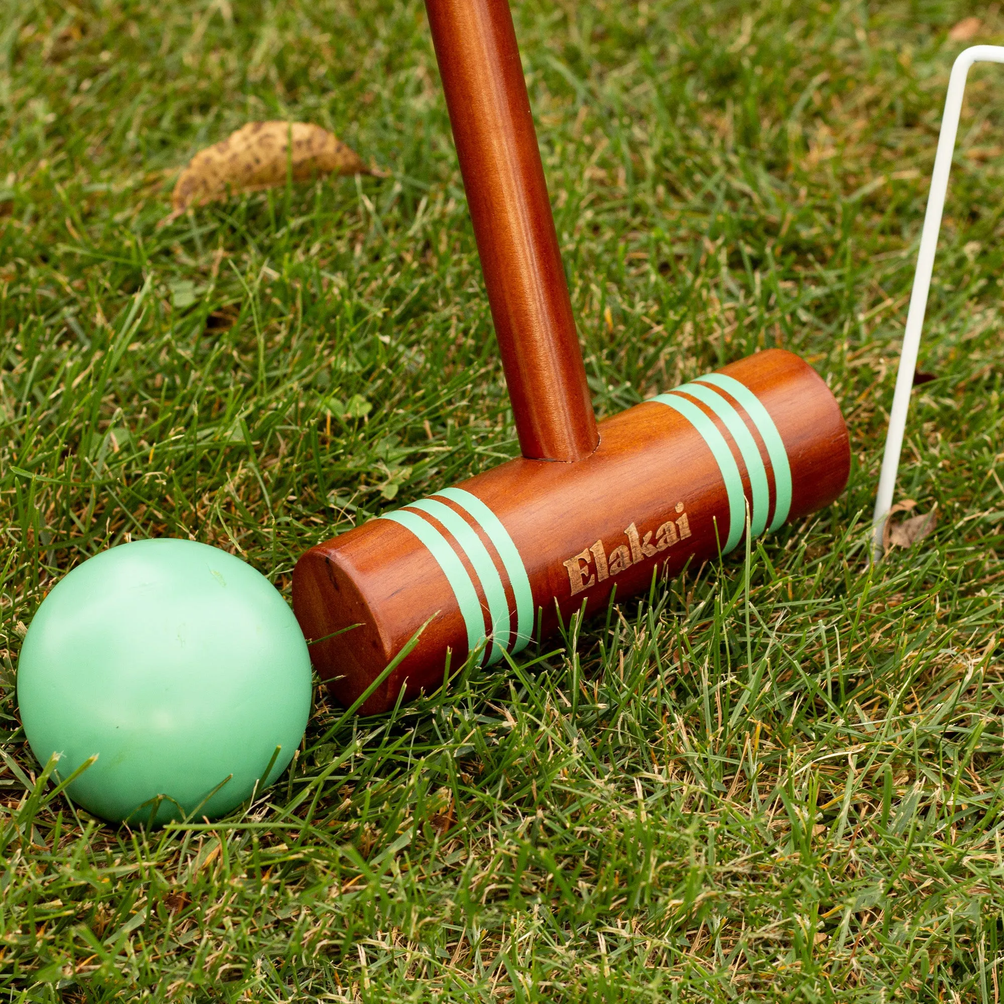 6 Player Croquet Set