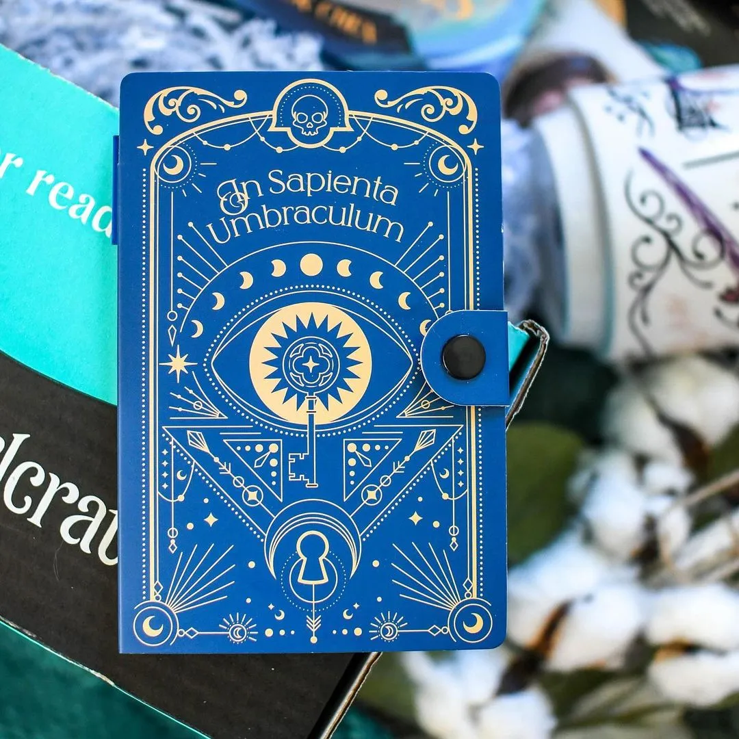 OwlCrate 'ONE STEP AHEAD' Box